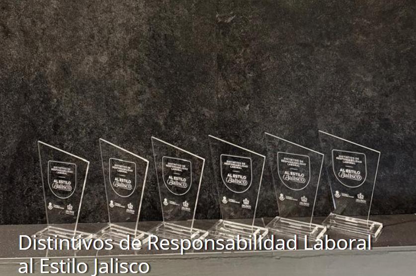 Imagen de la publicación